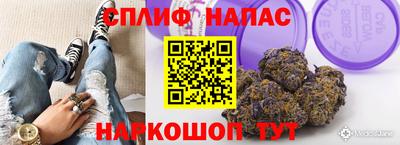 a pvp Будённовск